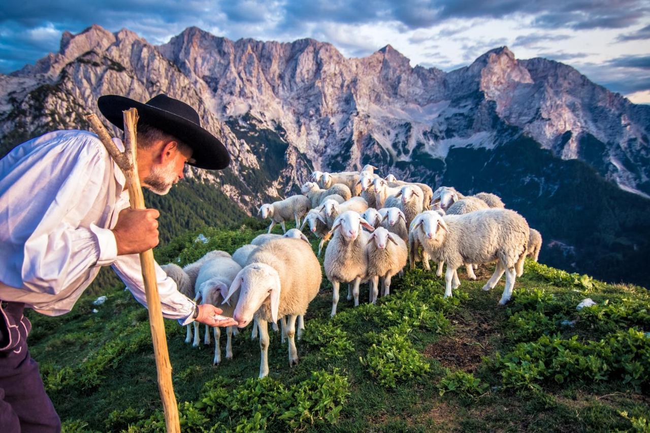Vila Tourist Farm Senkova Domacija Zgornje Jezersko Exteriér fotografie