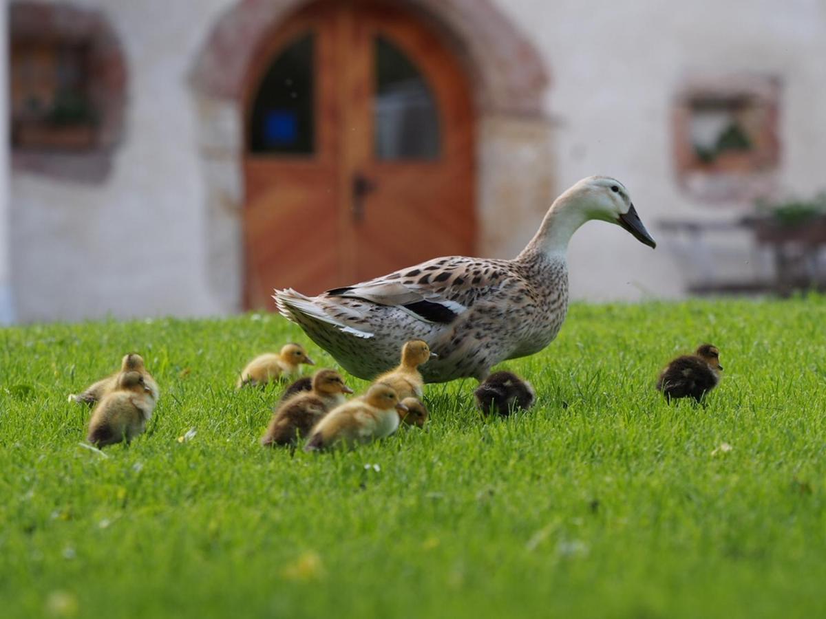 Vila Tourist Farm Senkova Domacija Zgornje Jezersko Exteriér fotografie